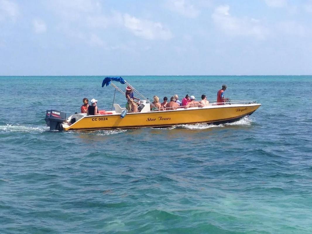 Tropical Paradise Express Caye Caulker Bagian luar foto